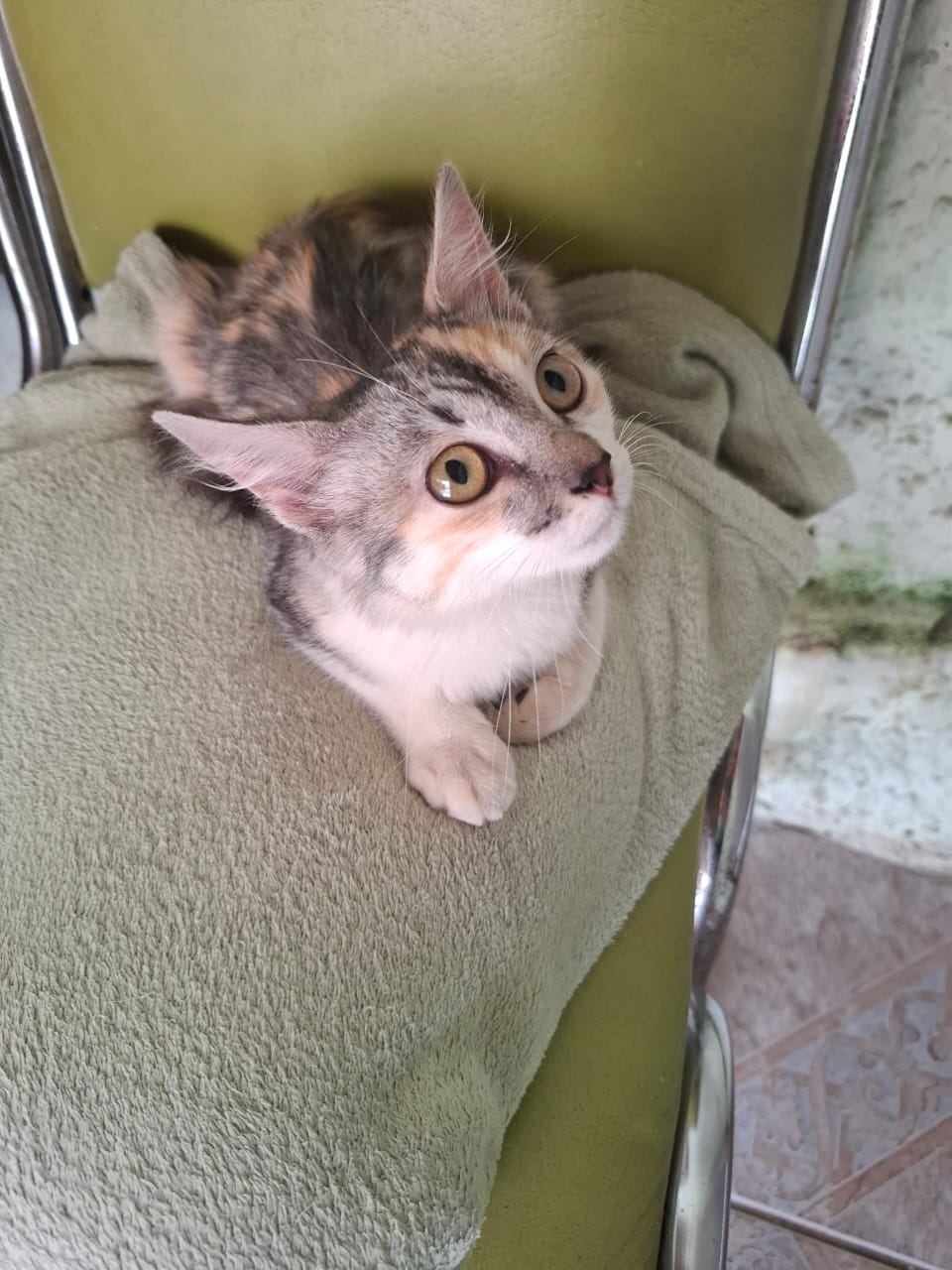 Foto do PET