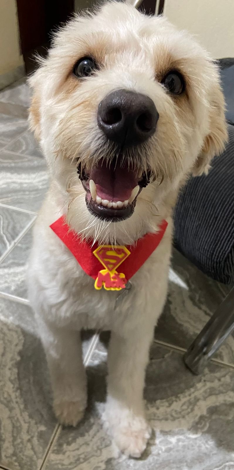 Foto de Snoop