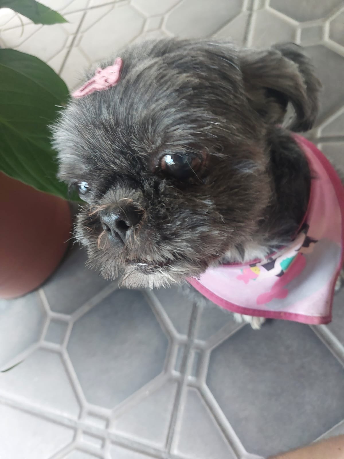 Foto de Kiara